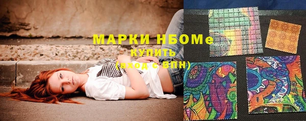 дмт Пересвет