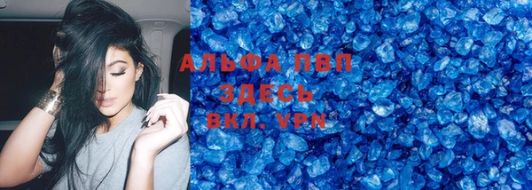 дмт Пересвет