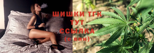 дмт Пересвет