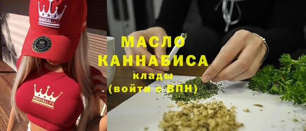 дмт Пересвет