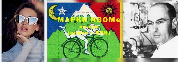 дмт Пересвет