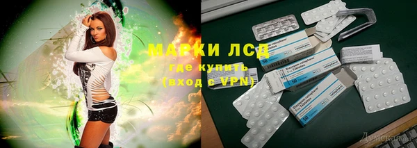 дмт Пересвет