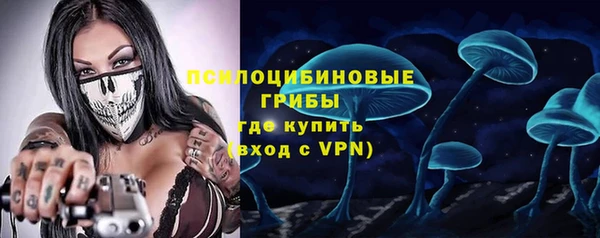 дмт Пересвет