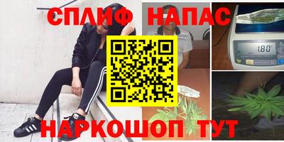 хмурый Гай