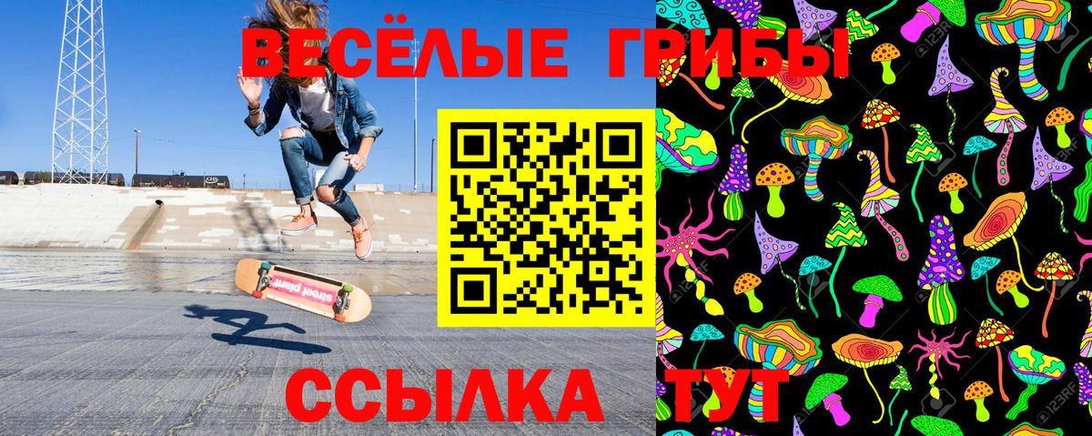 Псилоцибиновые грибы Psilocybine cubensis Абинск