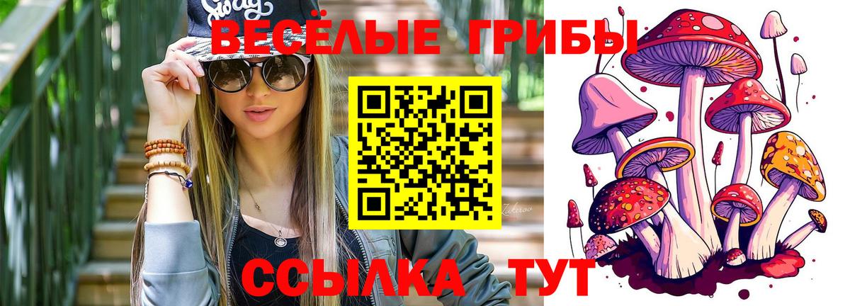Абинск  купить наркотики цена  Вход с VPN  Галлюциногенные грибы MAGIC MUSHROOMS 