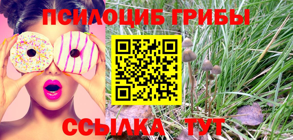 цены наркотик  Псилоцибиновые грибы GOLDEN TEACHER  Вход с VPN  Абинск 